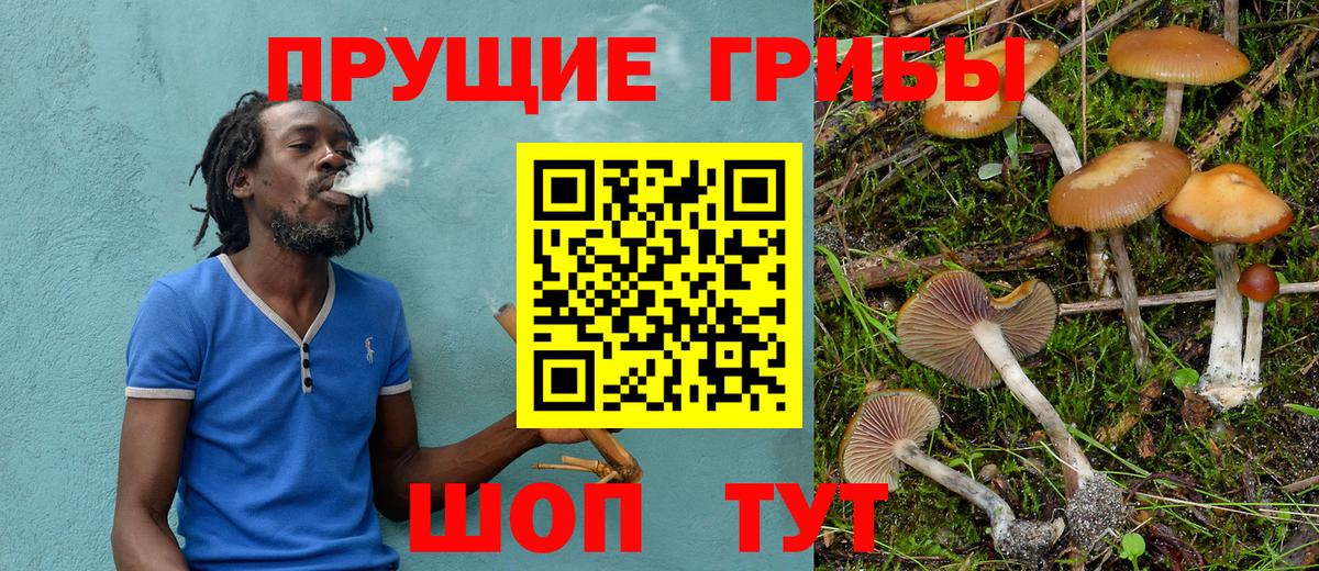 Псилоцибиновые грибы прущие грибы  Галлюциногенные грибы Magic Shrooms  Вход с VPN  цены   Балтийск 
